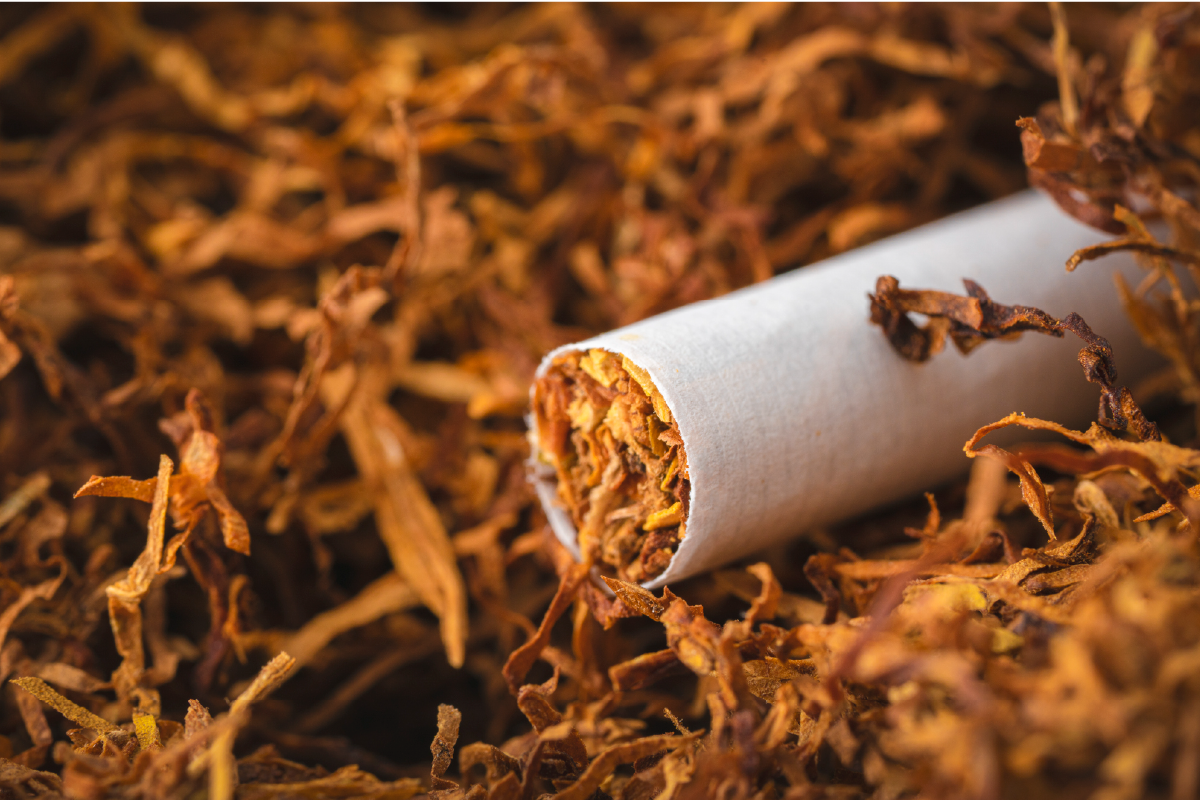 risk factors of smoking tobacco Tobacco Use | VitalSigns